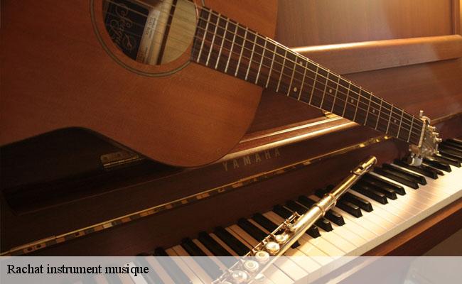 Rachat instrument musique Vienne 