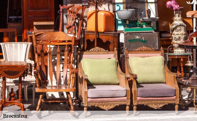 Brocanteur Vienne 