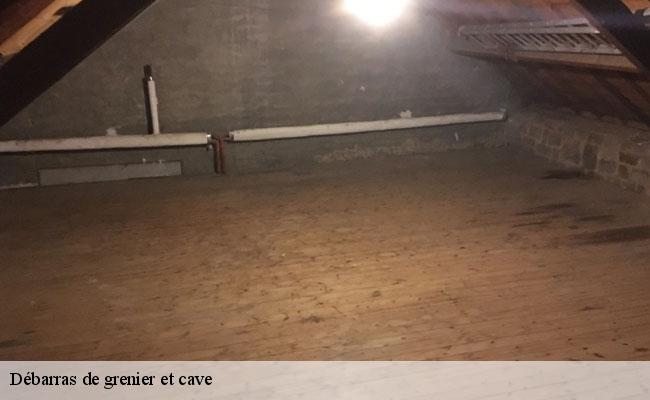 Débarras de grenier et cave  86300